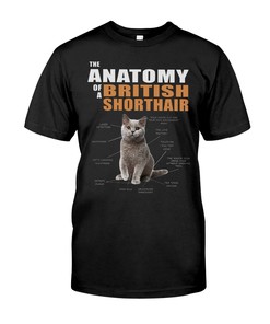 The Anatomy Of A British Shorthair Sweatshirt