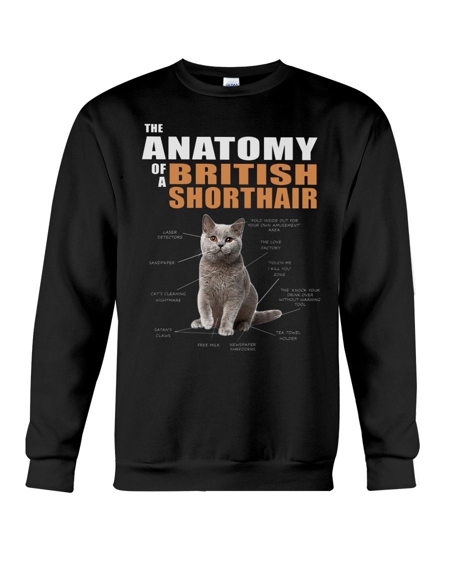 The Anatomy Of A British Shorthair Sweatshirt - Image 4