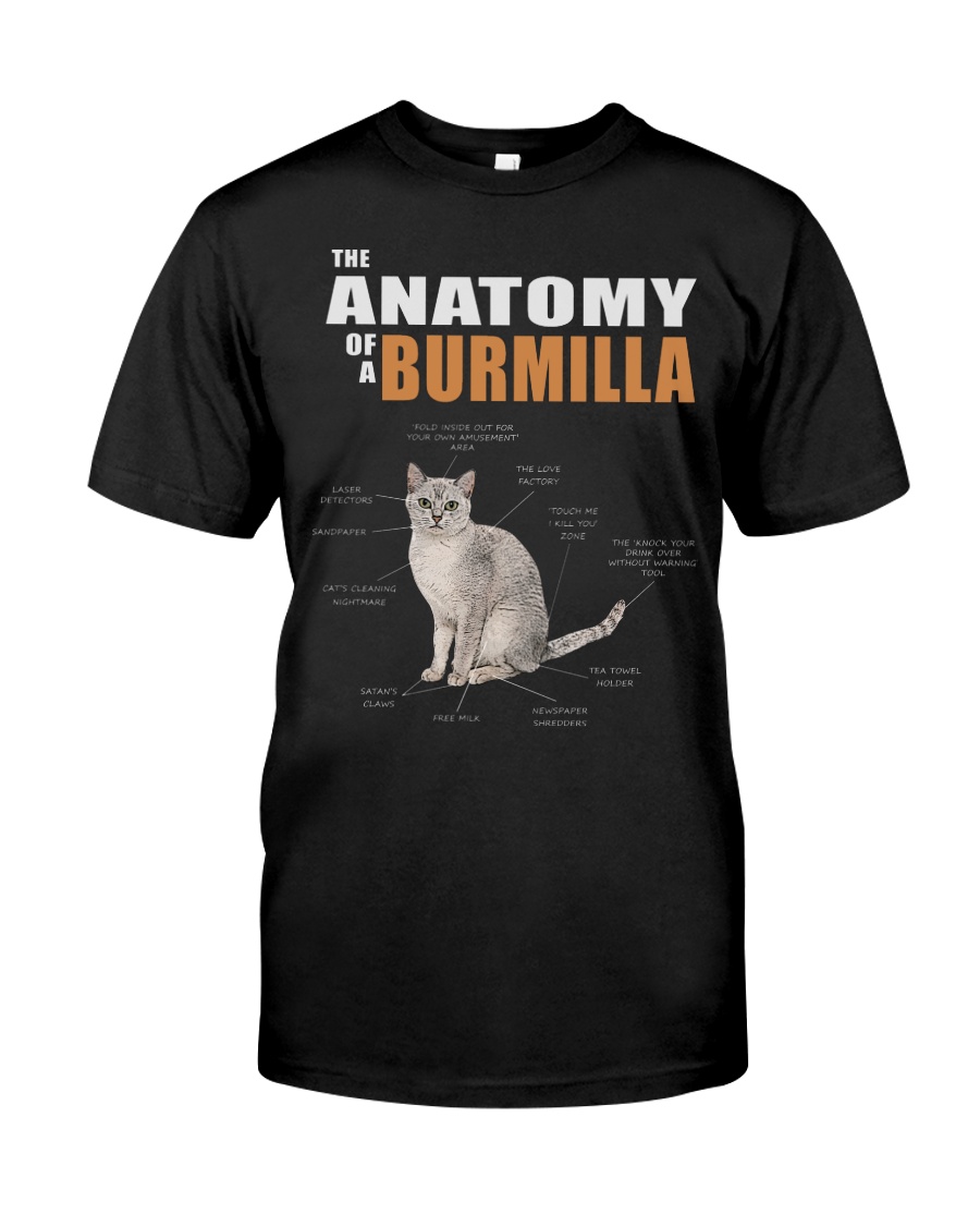 The Anatomy Of A Burmilla Hoodie