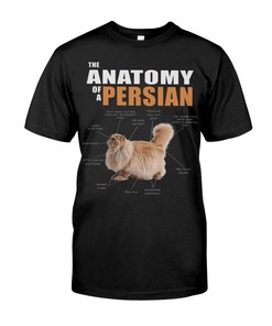 The Anatomy Of A Persian Hoodie
