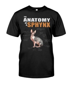 The Anatomy Of A Sphynx Hoodie