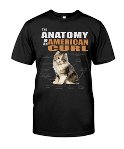 The Anatomy Of An American Curl Hoodie
