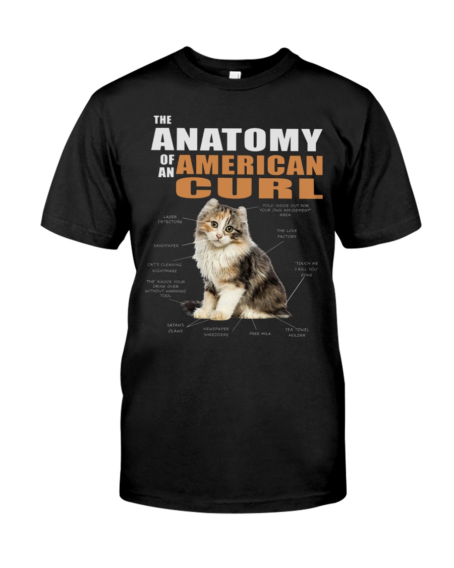 The Anatomy Of An American Curl Hoodie