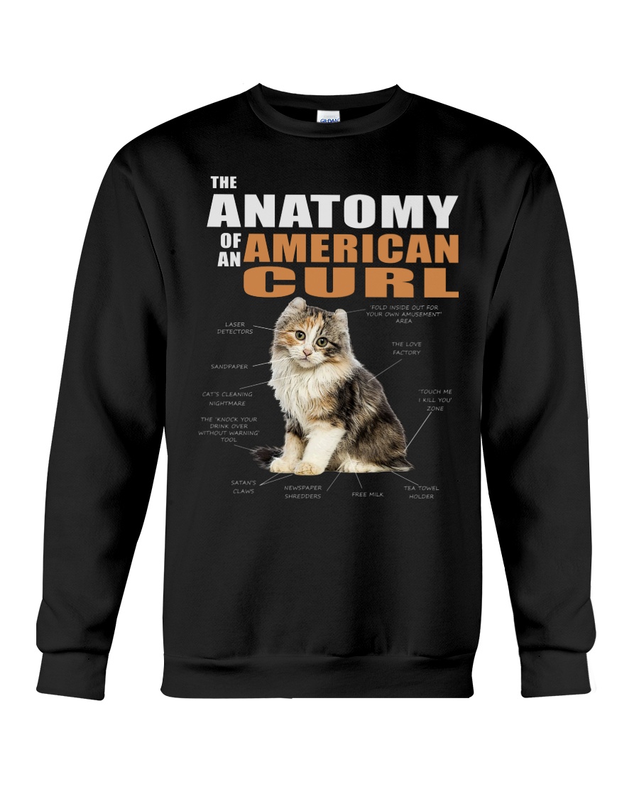 The Anatomy Of An American Curl Hoodie - Image 4