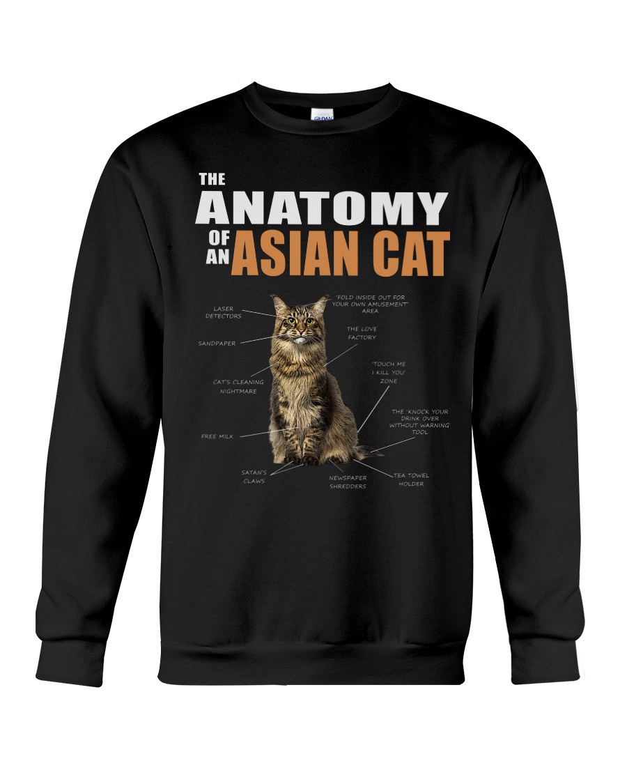 The Anatomy Of An Asian Cat Sweatshirt - Image 4