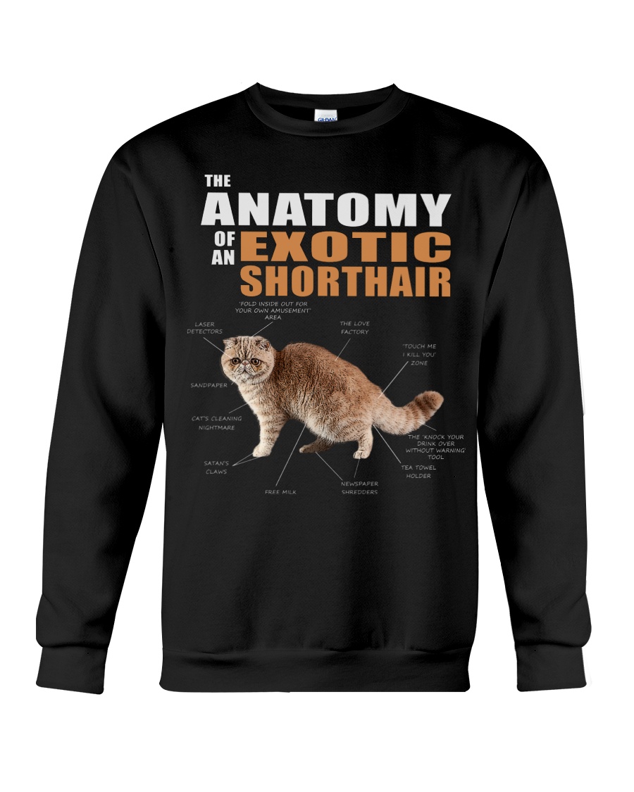 The Anatomy Of An Exotic Shorthair T-Shirt - Image 4