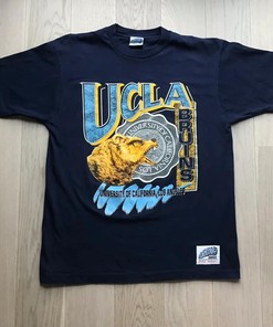 Ucla Bruins Ncaa American Sweatshirt Hoodie American Football Gifts Lover