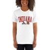 Unisex Indiana Football Apparel Stylish Iu Hoosiers Shirt For Ncaa Fans