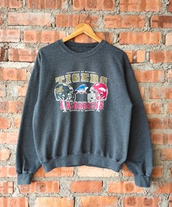 University Arkansas Razorbacks Sweatshirt Hoodie Shirt, Champion Apparel