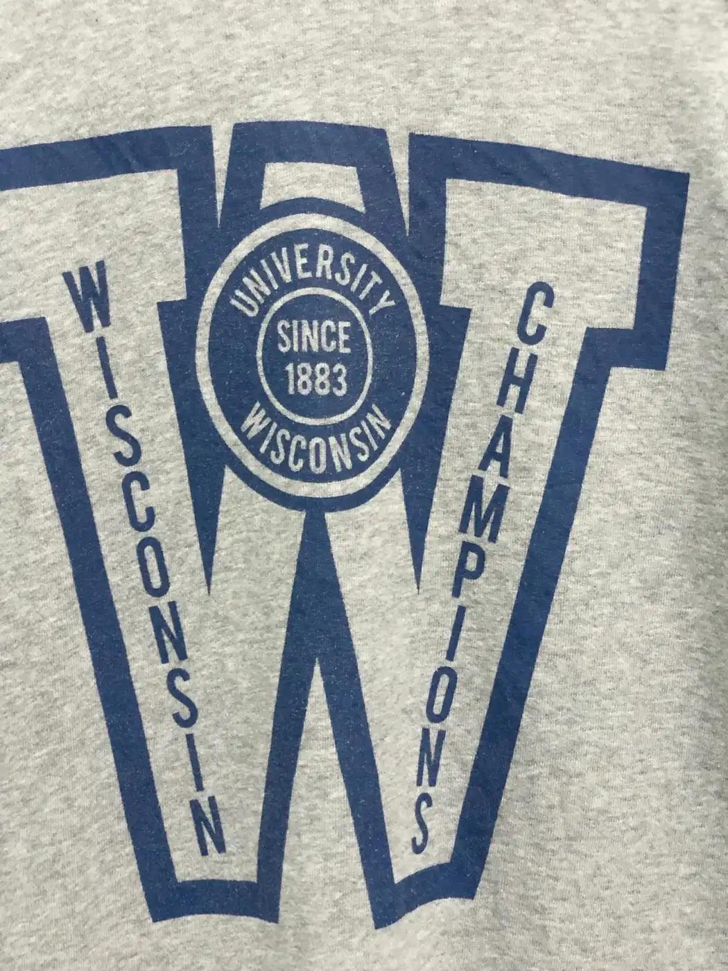University Of Wisconsin T-Shirt Sweatshirt Hoodie Crewneck Pullover American Football Gifts Lover - Image 2