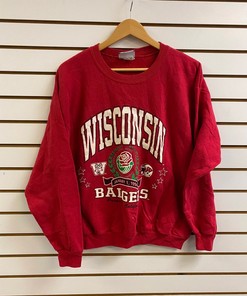 University of Wisconsin Badger State Pullover Sweatshirt - NCAA Football Fan Gear