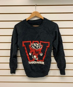 University of Wisconsin Badger State Pullover Sweatshirt - Vintage Style - NCAA Gift