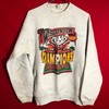 University of Wisconsin Badgers Sweatshirt - Champion - Vintage Design