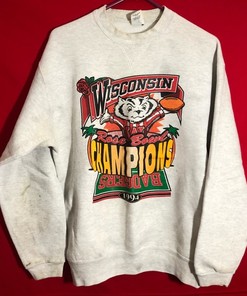 University of Wisconsin Badgers Sweatshirt - Champion - Vintage Design