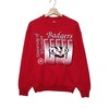 University of Wisconsin Vintage T Shirt and Sweatshirt Bundle, Ideal NCAA Gift for Fans