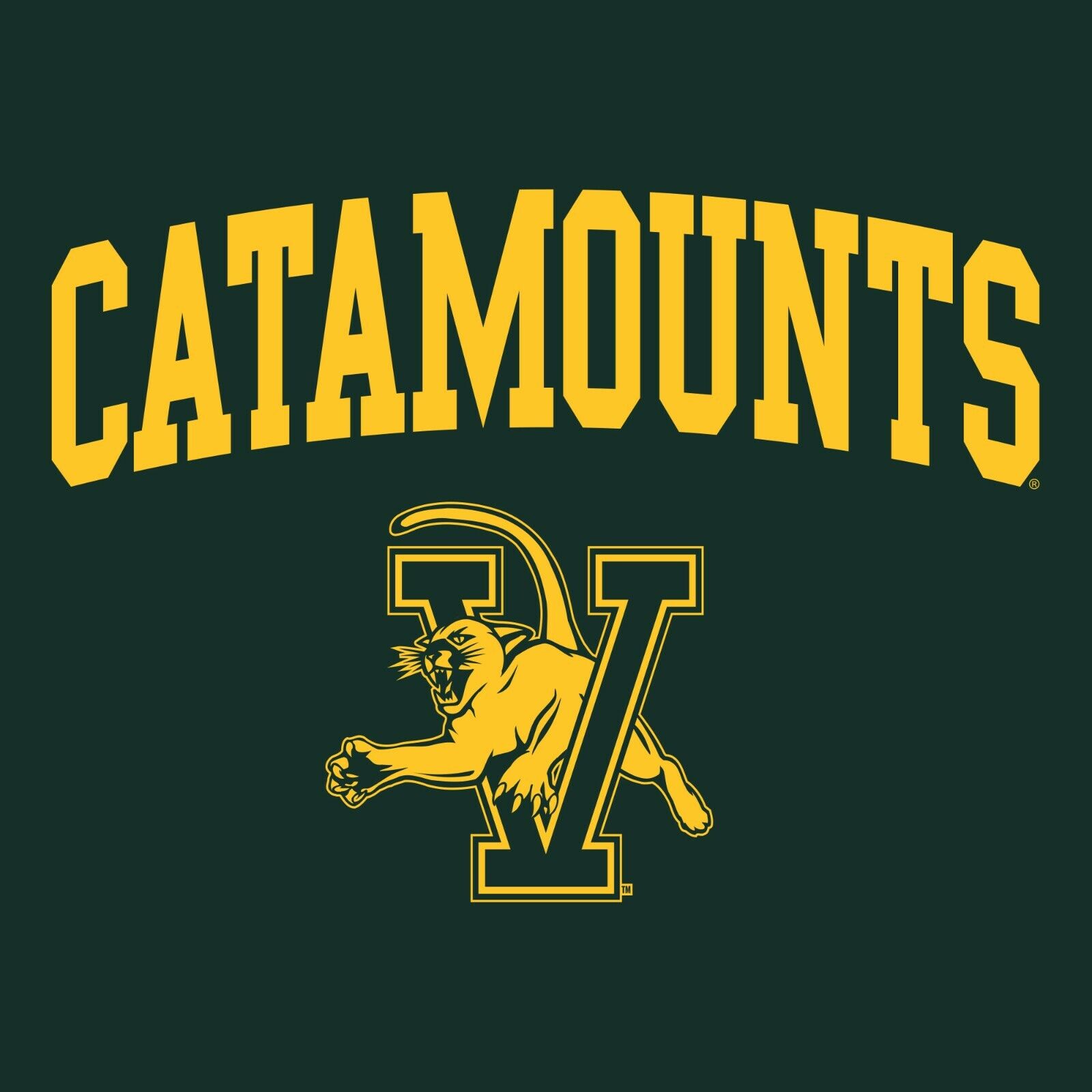 Vermont Catamounts Primary Logo Long Shirt Sweatshirt Vintage Style Hoodie Gifts - Image 2
