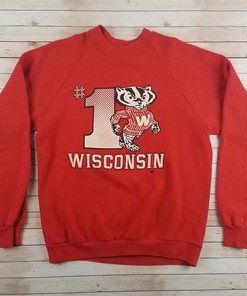 Vintage 1980s University of Wisconsin Badgers Bucky Number One Jerzees Sweatshirt, Hoodie College American Shirt