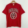 Vintage 1987 Indiana Hoosiers University T Shirt, Vintage Sweatshirt, Shirt, Hoodie