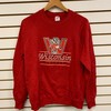 Vintage 1990s Wisconsin Badger State Pullover Sweatshirt - NCAA Football Fan Gear