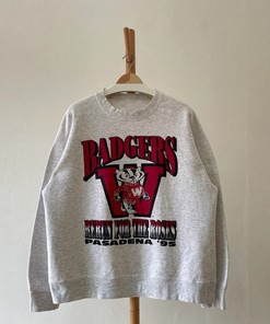 Vintage 1995 Wisconsin Badgers Football Sweatshirt, Crewneck NCAA Gifts for Fans