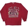 Vintage 90S Arkansas Sweatshirt Hoodie Shirt, Razorback Fan Gift