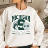 Vintage 90S Michigan State University Spartans Sweatshirt Hoodie Shirt, Retro Msu Apparel Gift