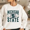 Vintage 90S Michigan University Sweatshirt Hoodie Shirt, Retro U Of M Apparel Gift
