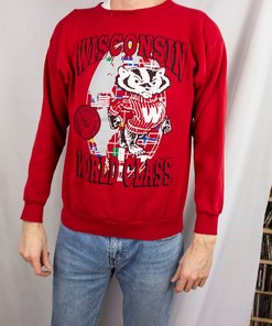 Vintage 90s Tultex University of Wisconsin Madison Badgers Vaporwave Numen Lumen Crewneck Sweatshirt, Hoodie T-Shirt