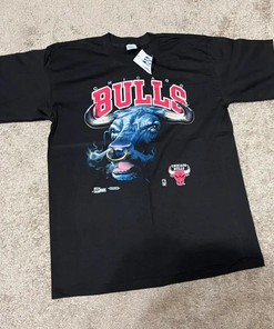 Vintage Chicago Bulls T-Shirt, Hoodie, And Sweatshirt Gift For Chicago Bulls Fans