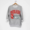 Vintage Indiana University Hoosiers Peach Bowl 1990 Sweatshirt, Indiana Hoosiers Sweater, Indiana Hoosiers Shirt