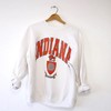 Vintage Indiana University Hoosiers Sweatshirt, Vintage 90S Shirt, Indiana University Sweater