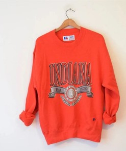Vintage Indiana University Sweatshirt, Football Fan Shirt, University Football Fan Shirt