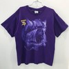 Vintage NFL Minnesota Vikings Pro Player Sweatshirt T-shirt, NFL Football Teams Gifts For Fans