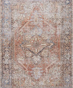 Vintage Oriental Medallion Area Rug - Terra Cotta, Brick Red, Brown, Orange, Blue - Living Room Bedroom Décor