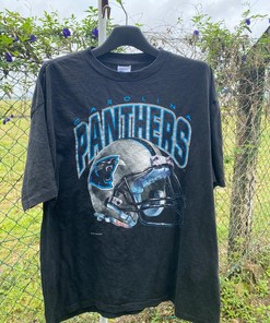 Vintage Style 1993 Carolina Panthers Nfpl Sweatshirt T-shirt, NFL Football Teams Gifts For Fans