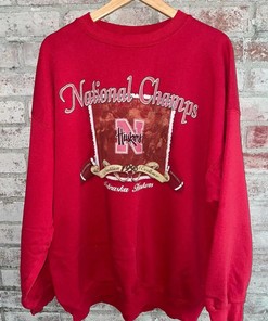 Vintage Style 1995 Nebraska Huskers National Champions T-Shirt Sweatshirt American Football Sweatshirt Sports Gifts