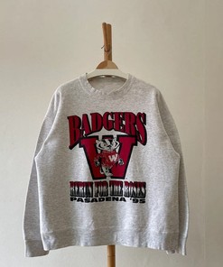 Vintage Style 1995 Wisconsin Badgers University Football Crewneck Sweatshirt, Wisconsin Badgers Shirt