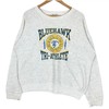 Vintage Style 90S Bluehawk Tri-Athlete Lee T-Shirt Sweatshirt Hoodie American Football Gifts Lover