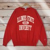 Vintage Style 90’S Champion Illinois State University Crew Neck Sweatshirt, Illinois State Sweater Pullover