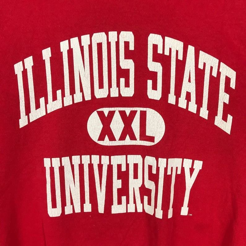 Vintage Style 90’S Champion Illinois State University Crew Neck Sweatshirt, Illinois State Sweater Pullover - Image 2