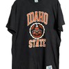 Vintage Style 90S Idaho State University Sweatshirt Hoodie Football Game Day T-Shirt Lover