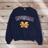 Vintage Style 90’S Michigan State University Crewneck Sweatshirt Sweater Pullover, Hoodie