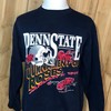 Vintage Style 90S Penn State University Nittany Lions 1995 Rose Bowl Sweatshirt, Penn State Sweater