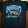Vintage Style 90S Penn State University Nittany Lions Crewneck Sweatshirt, Penn State Shirt