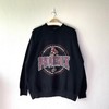 Vintage Style 90S Phoenix Coyotes Crewneck Sweatshirt, Phoenix Coyotes Shirt, Phoenix Coyotes Hoodie