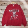 Vintage Style 90’S Rose Bowl Wisconsin Badgers Mascot Crewneck Sweatshirt, Wisconsin Badgers Sweater