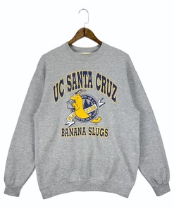 Vintage Style 90S University California Santa Cruz Ncaa Gear - T-Shirt, Sweatshirt, Hoodie