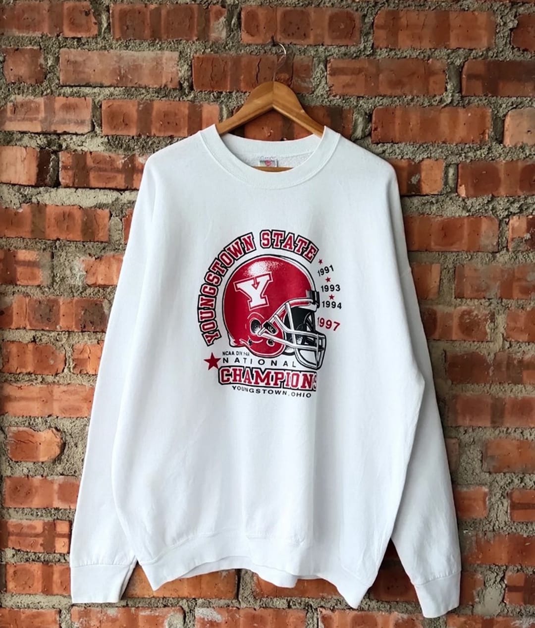 Vintage Style 90S Youngstown State Football Champions Sweatshirt, University Youngstown Sweater Youngstown Sweatshirt