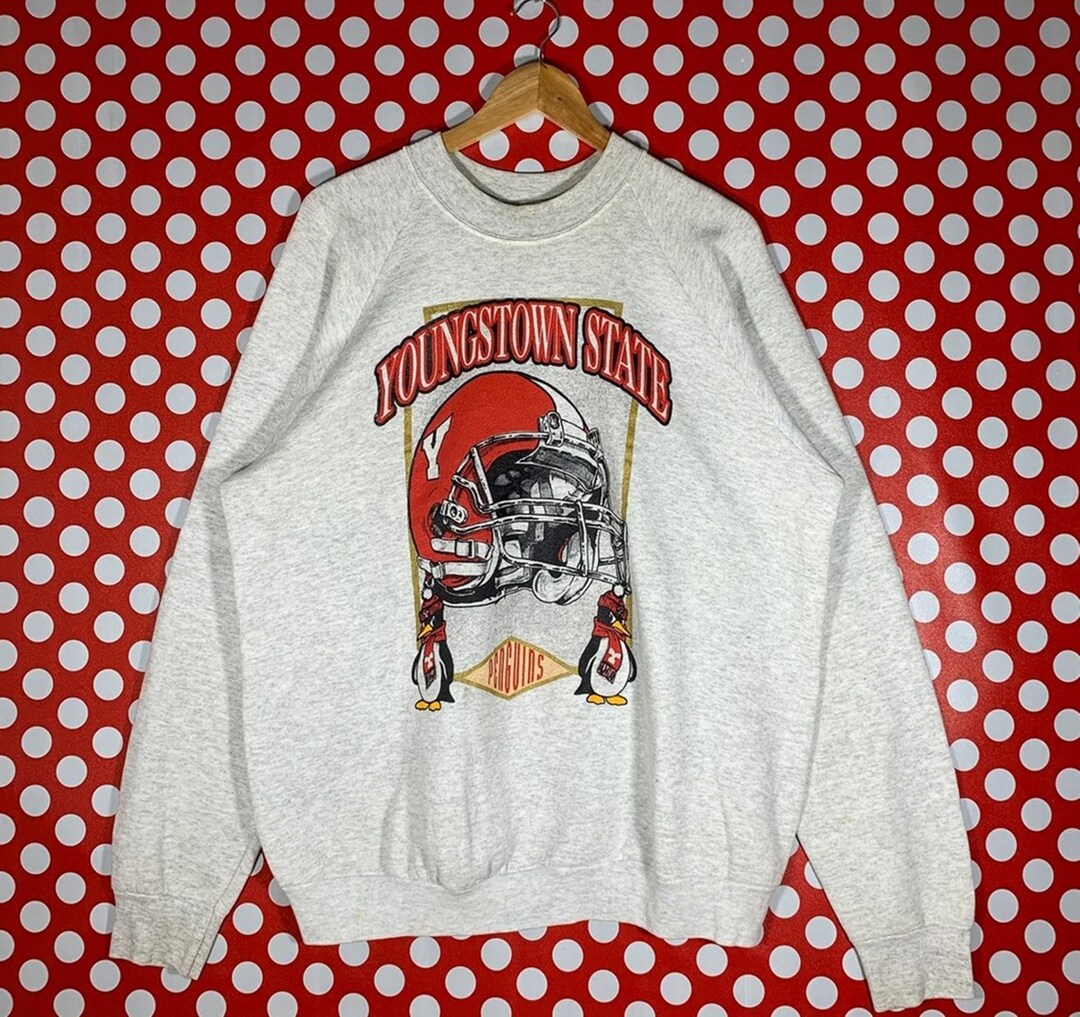 Vintage Style 90S Youngstown State Sweatshirt, Youngstown State Shirt, Youngstown State Hoodie