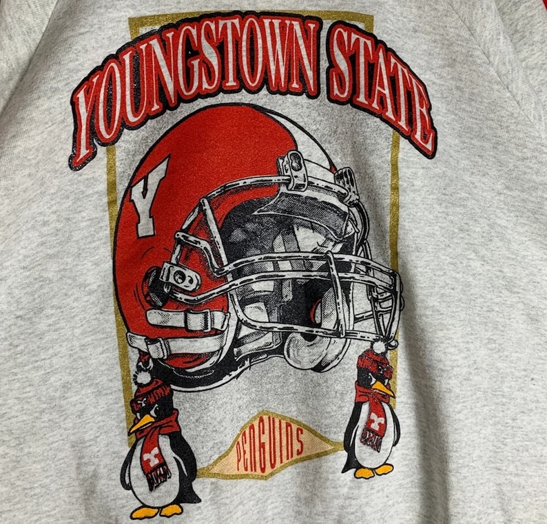 Vintage Style 90S Youngstown State Sweatshirt, Youngstown State Shirt, Youngstown State Hoodie - Image 2